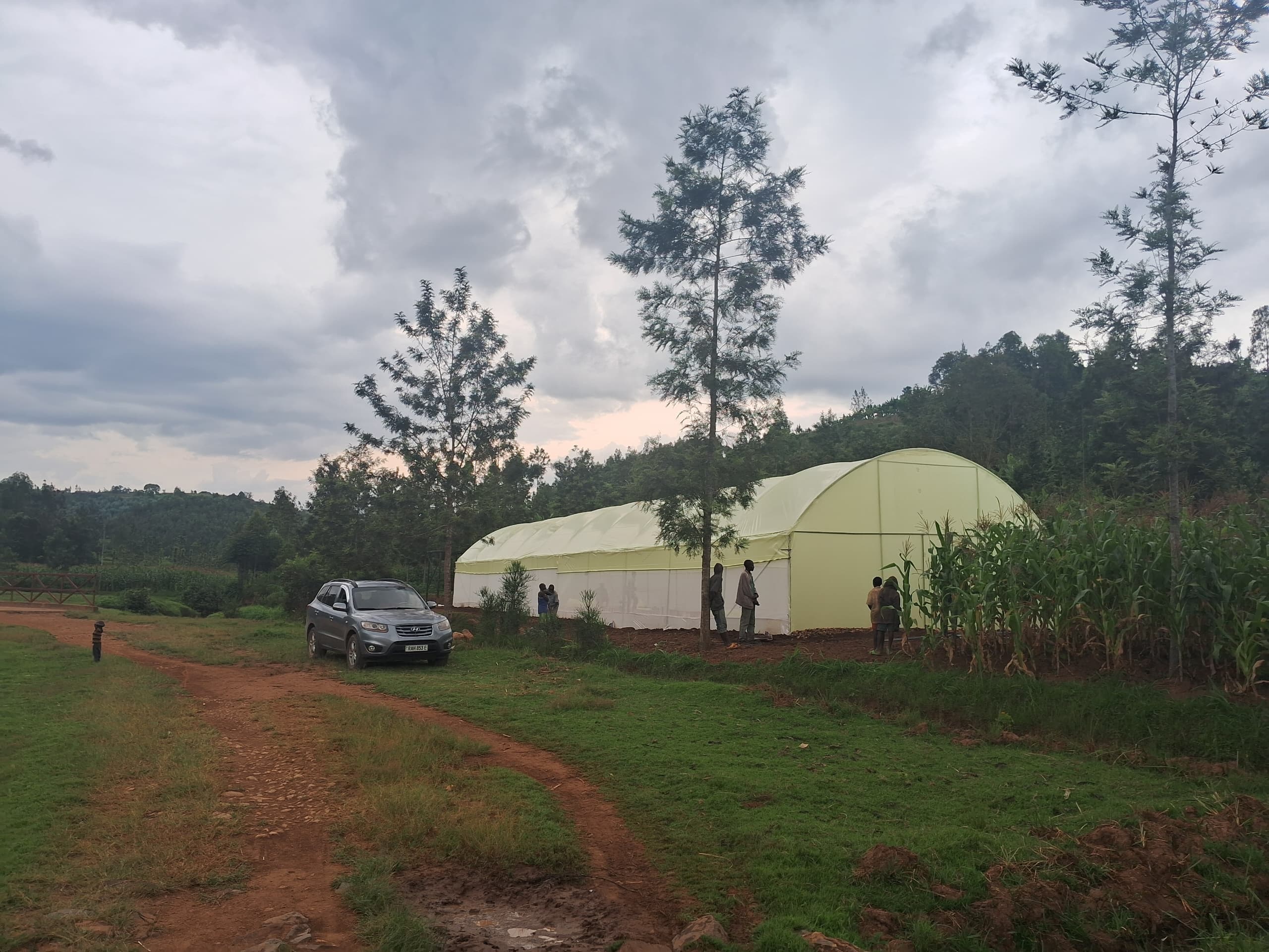 Smart Greenhouse Farming in Bugesera – Precision Agriculture in a Water-Scarce Region